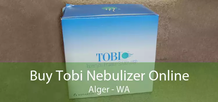 Buy Tobi Nebulizer Online Alger - WA